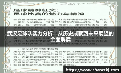 武汉足球队实力分析：从历史成就到未来展望的全面解读