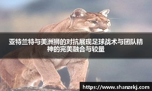 威廉体育williamhill